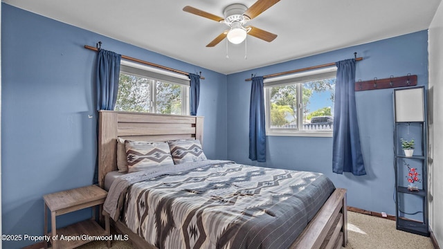 505 N 8th St, Silt, CO 81652 - photo 10