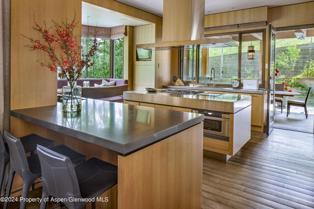 kitchen featuring island exhaust hood, light brown cabinetry, light wood-type flooring, stainless steel appliances, and sink