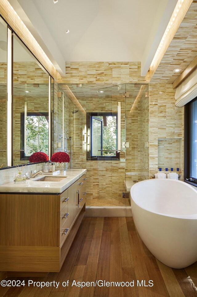 bathroom with shower with separate bathtub, vanity, plenty of natural light, and tile walls