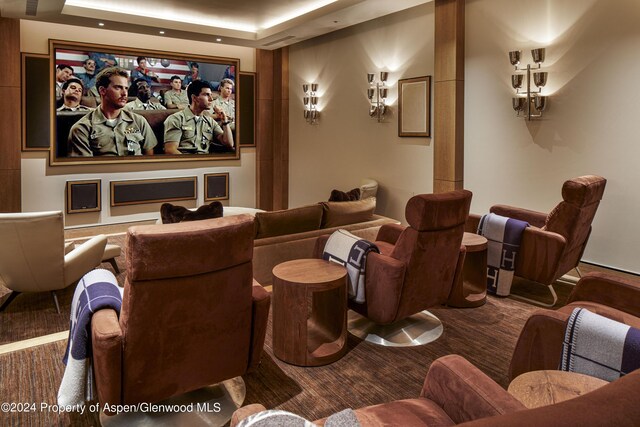 carpeted home theater featuring a raised ceiling