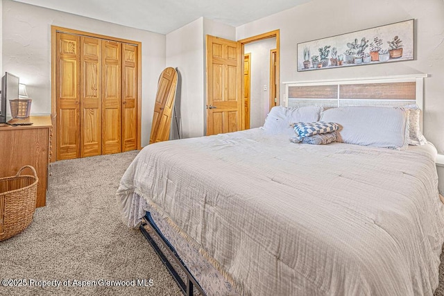 5904 County Road 31, Craig, CO 81625 - carpeted bedroom with a closet
