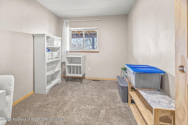 5904 County Road 31, Craig, CO 81625 - miscellaneous room with carpet floors and baseboards