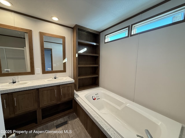 bathroom with vanity and a tub