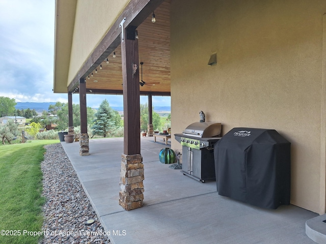 265 S Meadow Dr, Rifle, CO 81650 - photo 11