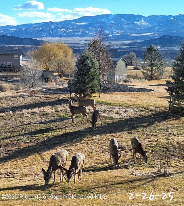 265 S Meadow Dr, Rifle, CO 81650 - photo 16