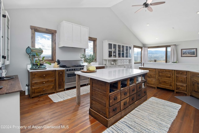 kitchen featuring stainless steel range, dark hardwood / wood-style flooring, a center island, and a wealth of natural light