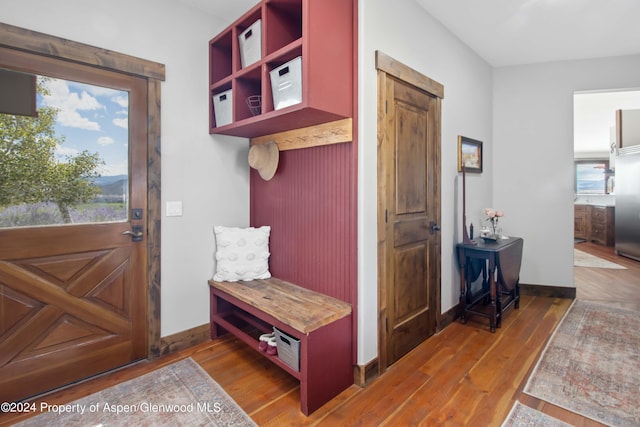 mudroom featuring dark hardwood / wood-style floors