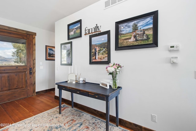 entryway featuring wood-type flooring