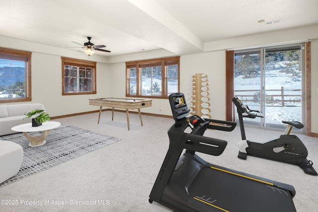workout area with carpet floors, ceiling fan, baseboards, and a wealth of natural light