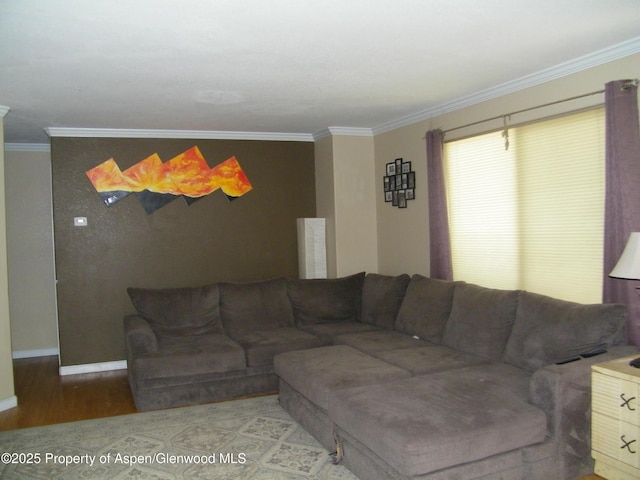 1558 E 12th St, Rifle, CO 81650 - living room with ornamental molding and wood finished floors