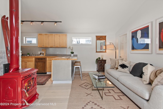 living room with a healthy amount of sunlight, track lighting, and light wood-style flooring