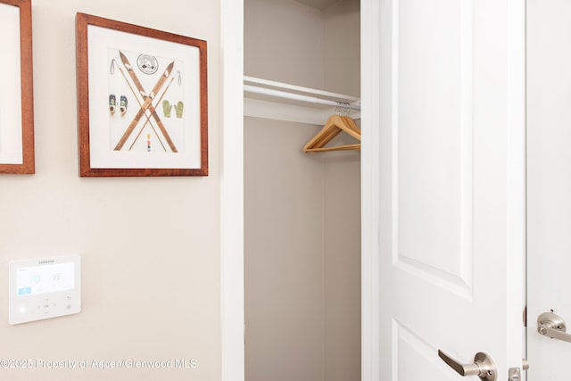 253 Wulfsohn Rd Unit 312, Glenwood Springs, CO 81601 - view of closet