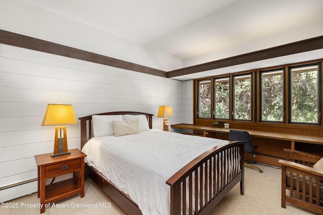 820 Twining Flats Rd, Aspen, CO 81611 - photo 18