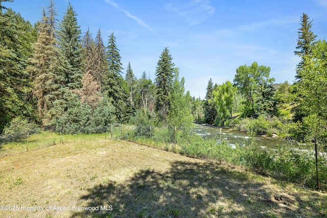 820 Twining Flats Rd, Aspen, CO 81611 - photo 9