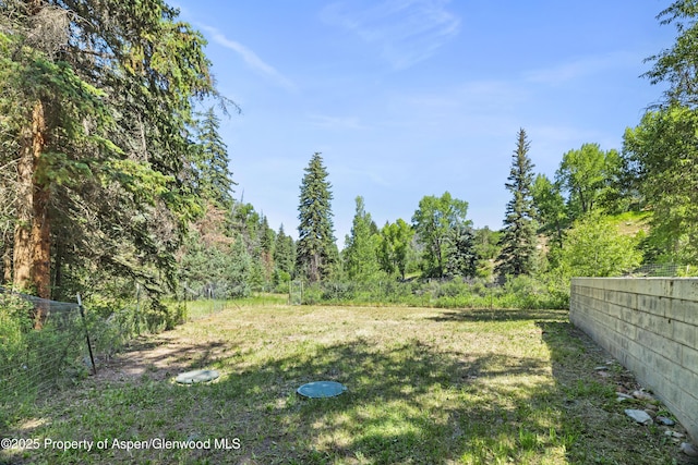 820 Twining Flats Rd, Aspen, CO 81611 - photo 8