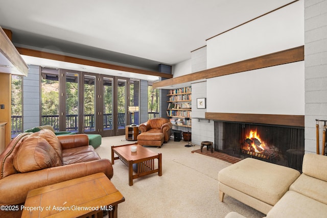 820 Twining Flats Rd, Aspen, CO 81611 - photo 15