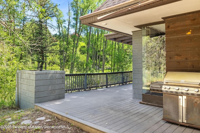 820 Twining Flats Rd, Aspen, CO 81611 - photo 11