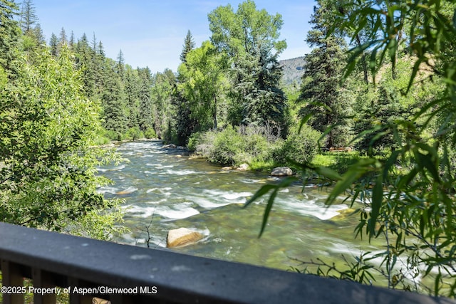 820 Twining Flats Rd, Aspen, CO 81611 - photo 2