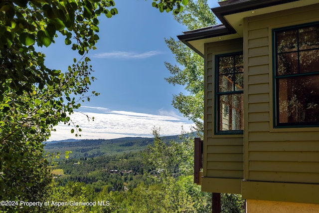 75 Terrace Ln, Snowmass Village, CO 81615 - photo 30