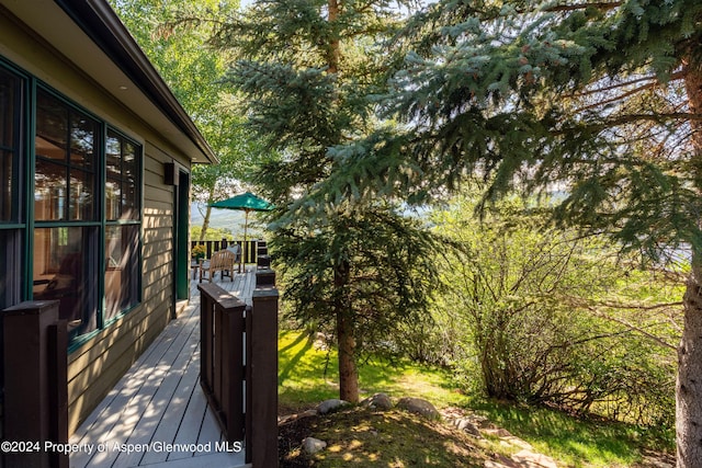 75 Terrace Ln, Snowmass Village, CO 81615 - photo 27