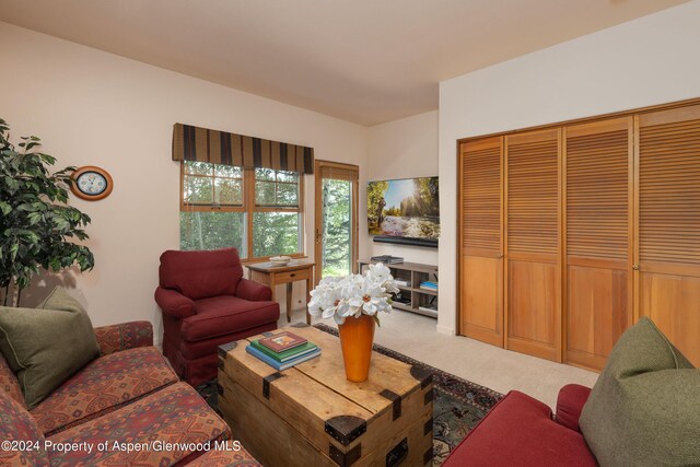 75 Terrace Ln, Snowmass Village, CO 81615 - photo 29
