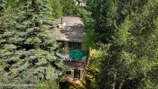 75 Terrace Ln, Snowmass Village, CO 81615 - photo 4