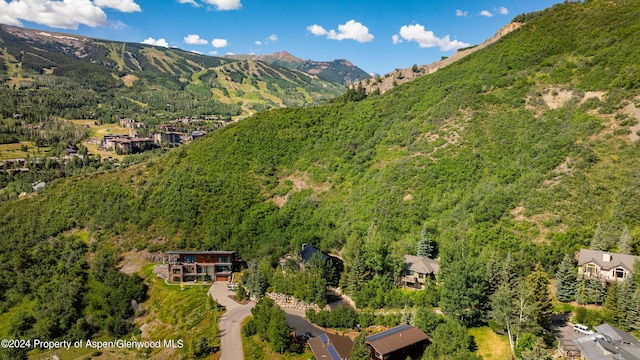75 Terrace Ln, Snowmass Village, CO 81615 - photo 39