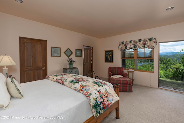 75 Terrace Ln, Snowmass Village, CO 81615 - photo 21