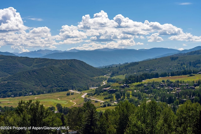 75 Terrace Ln, Snowmass Village, CO 81615 - photo 33
