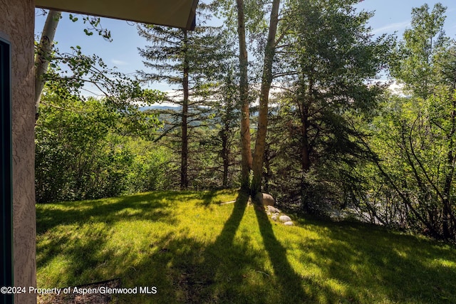 75 Terrace Ln, Snowmass Village, CO 81615 - photo 32