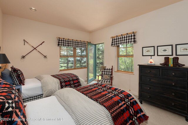 bedroom with light carpet