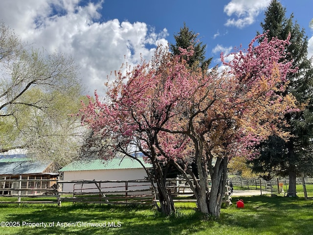 58590 Pe 3/10 Rd, Collbran, CO 81624 - view of yard