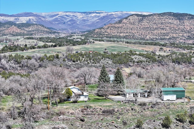 58590 Pe 3/10 Rd, Collbran, CO 81624 - mountain view