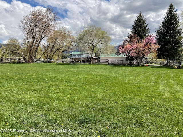 58590 Pe 3/10 Rd, Collbran, CO 81624 - view of yard