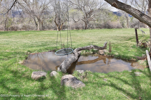 58590 Pe 3/10 Rd, Collbran, CO 81624 - view of green lawn