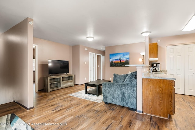 18 Angelica Cir, Parachute, CO 81635 - living room with light wood finished floors, baseboards, and a wood stove