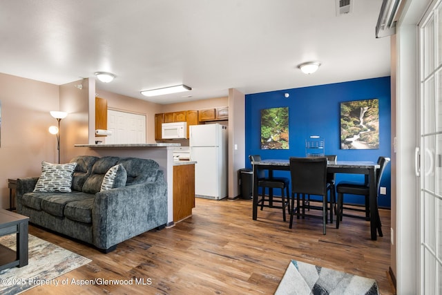 18 Angelica Cir, Parachute, CO 81635 - living area featuring light wood-style floors