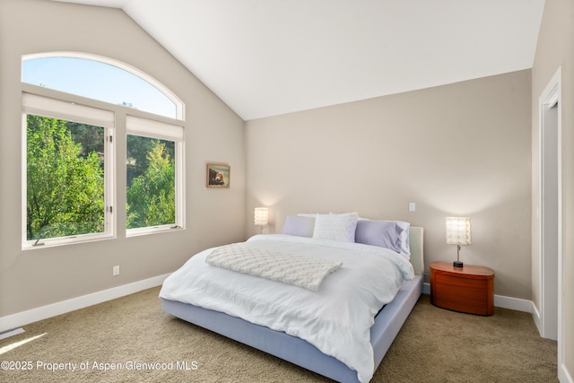 587 Hillcrest Dr, Basalt, CO 81621 - bedroom with vaulted ceiling, carpet floors, and baseboards