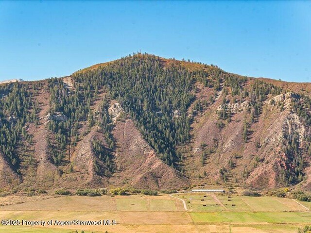 587 Hillcrest Dr, Basalt, CO 81621 - mountain view