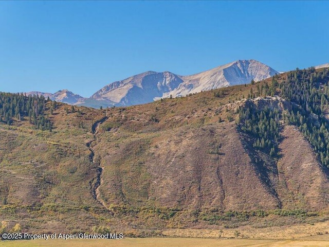 587 Hillcrest Dr, Basalt, CO 81621 - mountain view