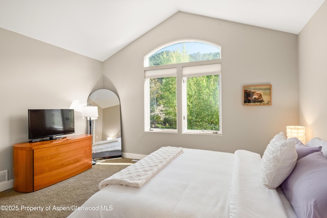 587 Hillcrest Dr, Basalt, CO 81621 - bedroom with carpet floors, lofted ceiling, and baseboards