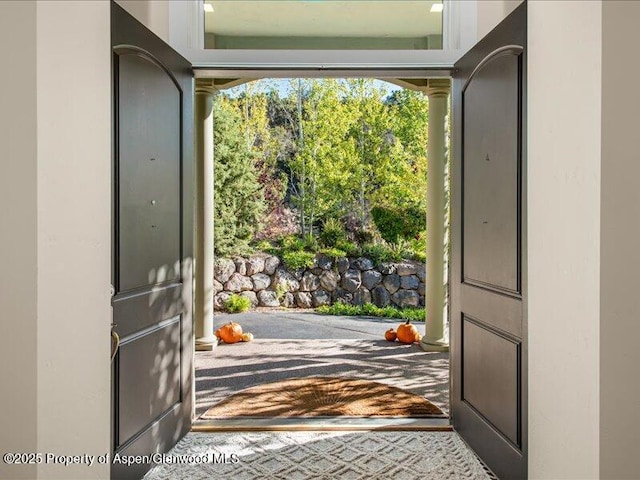 587 Hillcrest Dr, Basalt, CO 81621 - view of doorway to outside