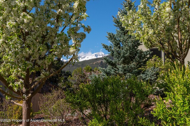 587 Hillcrest Dr, Basalt, CO 81621 - view of undeveloped land with a mountain backdrop