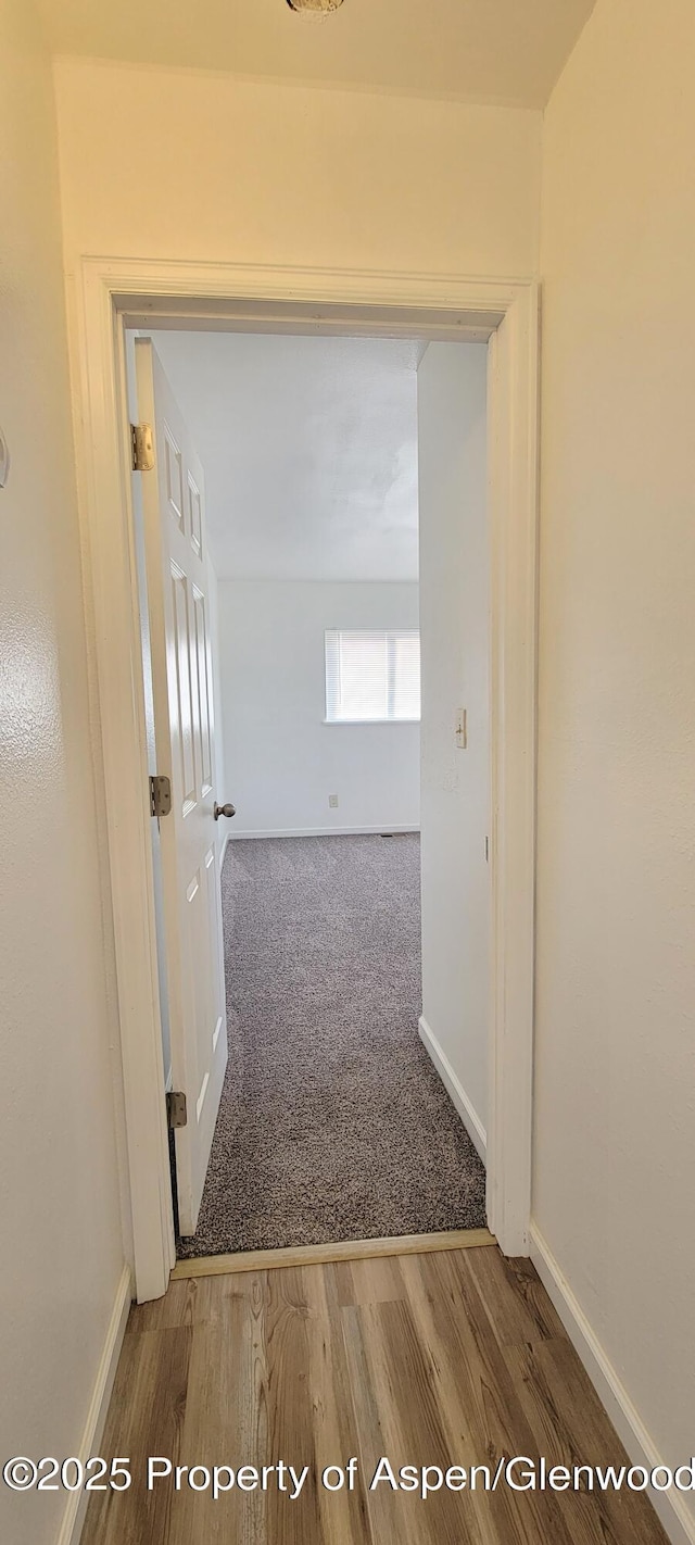 hall with baseboards and wood finished floors