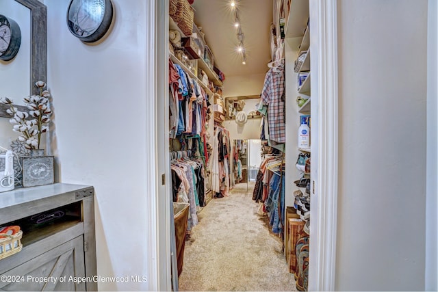 spacious closet featuring carpet floors