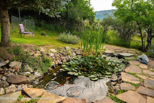 1459 County Road 102, Carbondale, CO 81623 - view of yard featuring a small pond