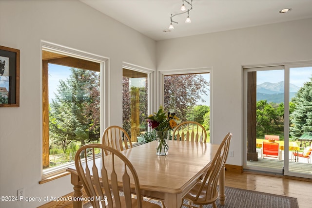 1459 County Road 102, Carbondale, CO 81623 - dining room with a mountain view, wood-type flooring, and plenty of natural light