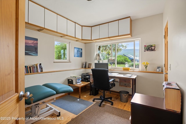 1459 County Road 102, Carbondale, CO 81623 - office area featuring a wealth of natural light and light wood-type flooring
