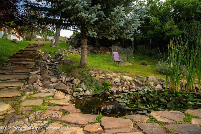 1459 County Road 102, Carbondale, CO 81623 - view of yard