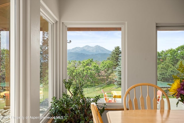 1459 County Road 102, Carbondale, CO 81623 - interior space featuring a mountain view
